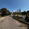 Palpung Sherabling Monastery with 108 Stupas Tibetan Buddhist temple near Bir Billing